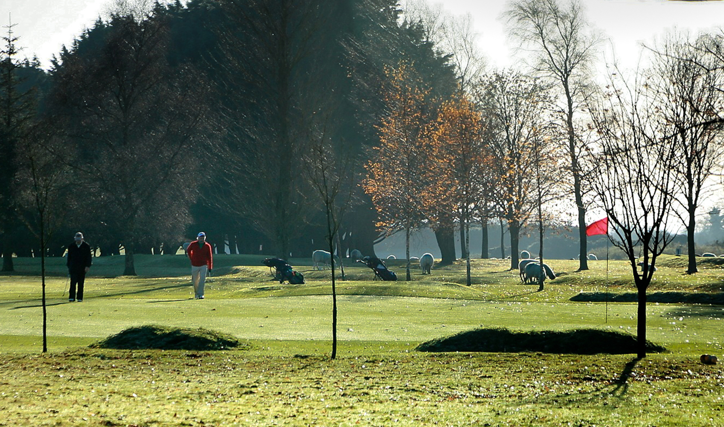Cill Dara Golf Club Course Photo